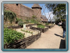 Reise in den Elsass 5.-8.Mai 2016