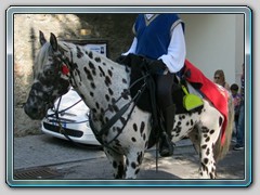 Bertinoro 29.8.-8.9.2018