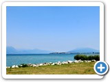 T_QIMG_4357